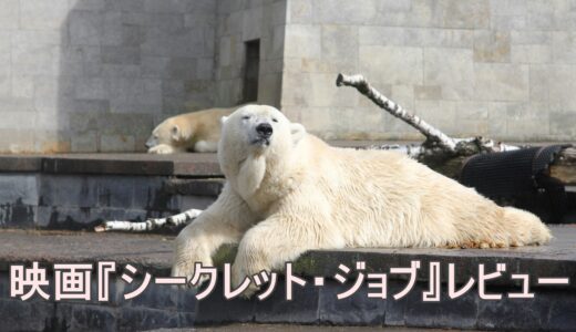 【映画レビュー】『シークレット・ジョブ』｜偽装勤務で動物園を救え！笑いと感動の再建コメディ